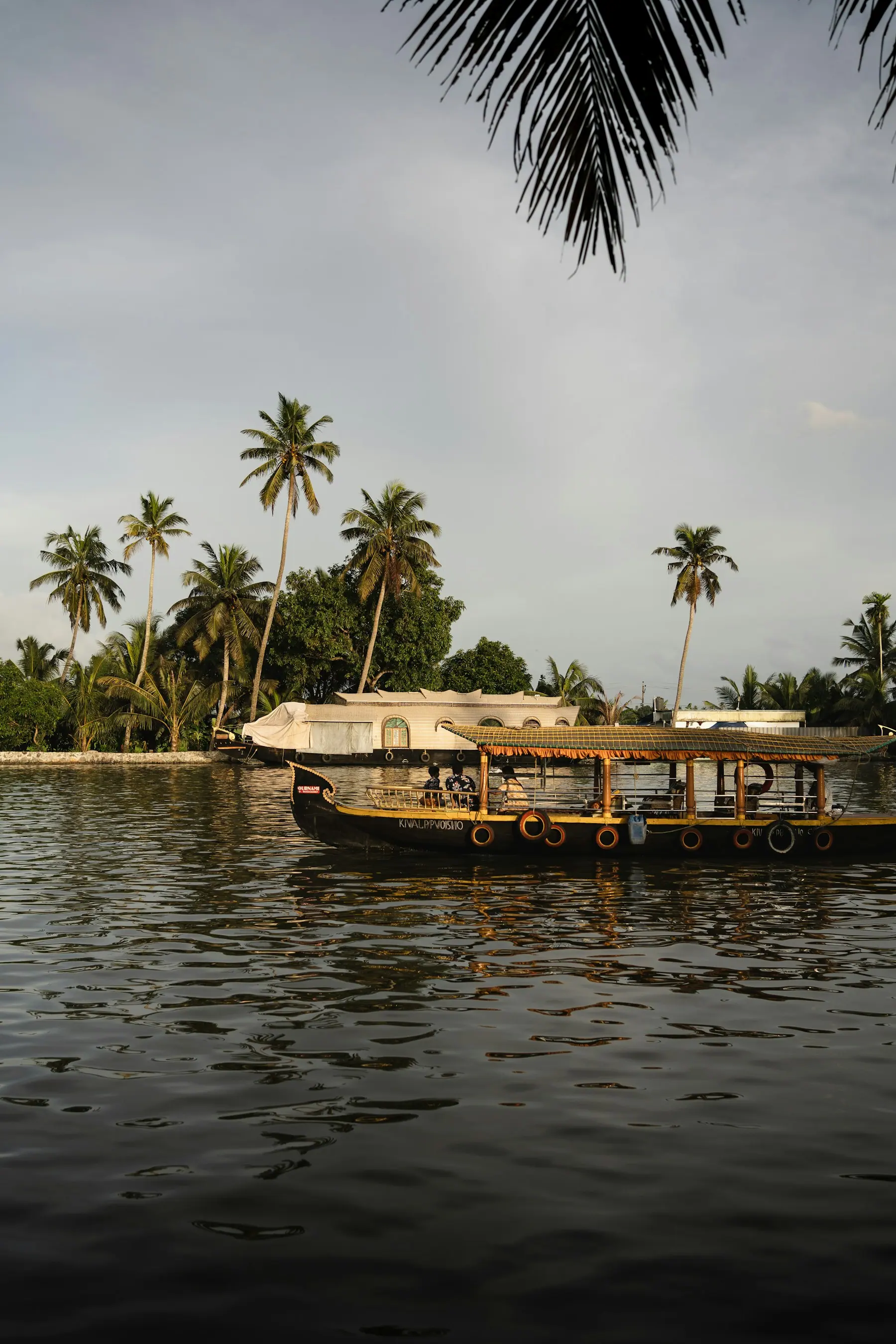 Kerala Backwaters and Wellness